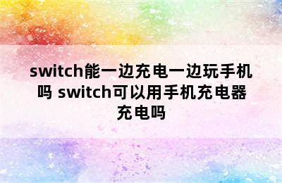 switch能一边充电一边玩手机吗 switch可以用手机充电器充电吗